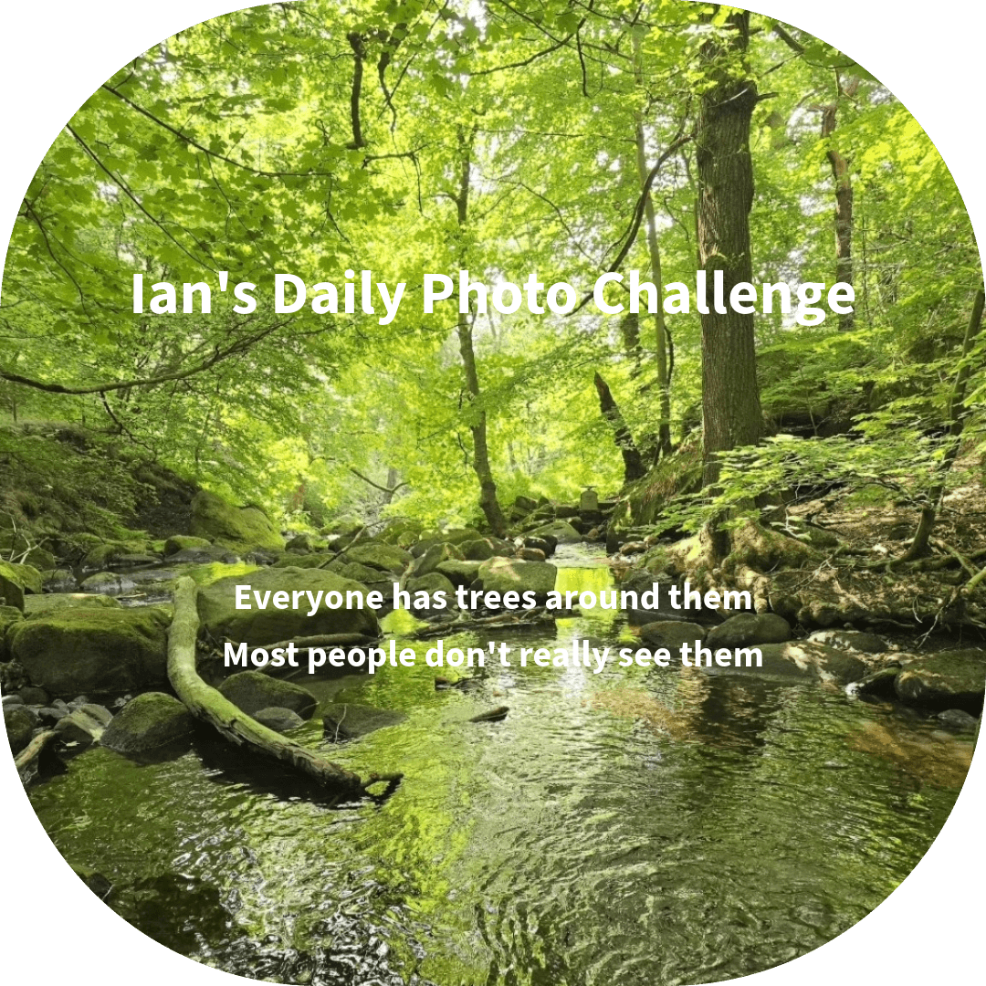 Ian's Daily Nature Photo