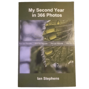 My Second Year In Photos