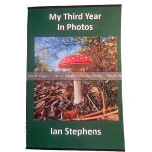 My Third Year In Photos