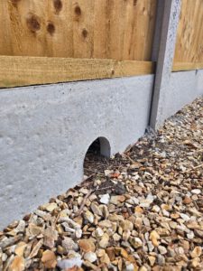 Hedgehog highway 